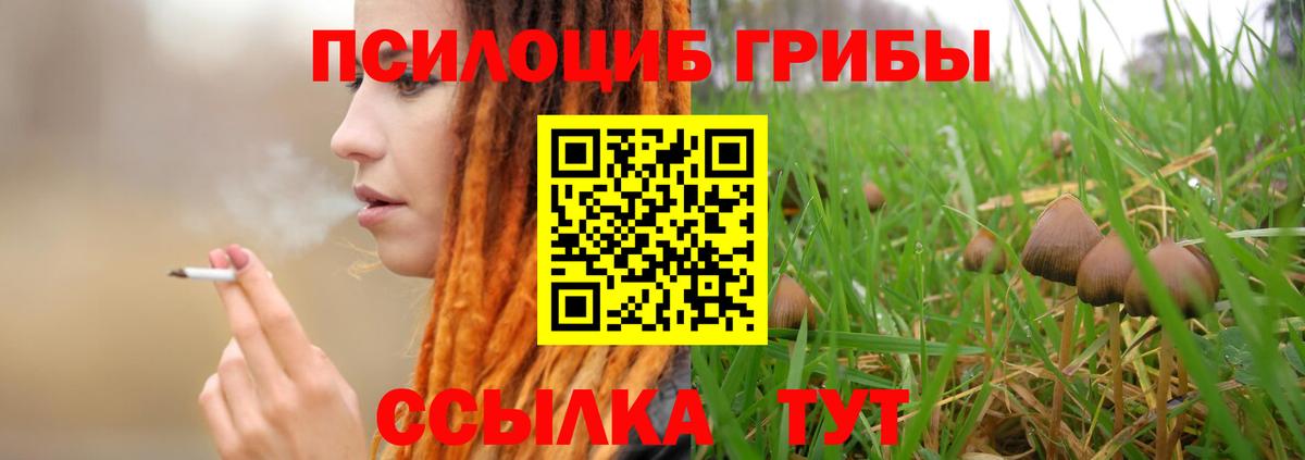 Галлюциногенные грибы Psilocybe  Вход с VPN  Соль-Илецк 